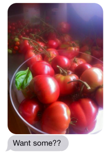 tomato salad